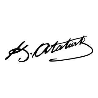 2 ADET (1 ÇİFT)  TÜM ARABALARDA EVRENSEL OLARAK UYGUN