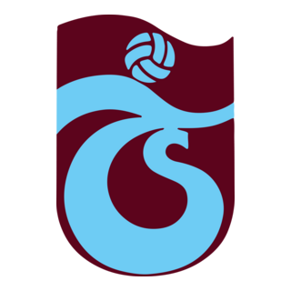 2 ADET (1 ÇİFT)  TÜM ARABALARDA EVRENSEL OLARAK UYGUN